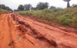 Travaux de la route Kalamba Mbuji : le chantier tarde à démarrer