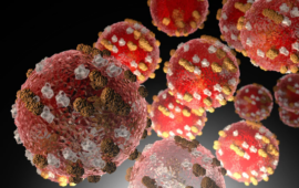 M_pox en RDC : 610 décès et 1372 nouveaux cas enregistrés