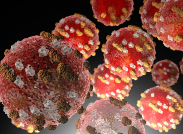 M_pox en RDC : 610 décès et 1372 nouveaux cas enregistrés