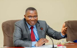 RDC: DE LA FARINE DE MAÏS CONTAMINÉE PAR L&rsquo;AFLATOXINE DÉTECTÉE