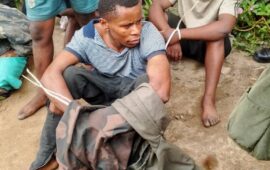 Assassinat du journaliste à Goma : un montant de 5$ payé au présumé auteur