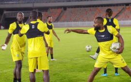 Qualification pour la CAN : Sébastien Desabre met les léopards en garde contre la complaisance