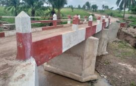 Kasaï Oriental : Les routes des dessertes agricoles connaissent un progrès significatifs