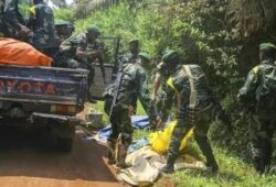 Nord-Kivu : Opération conjointe FARDC-UPDF neutralise trois rebelles ADF
