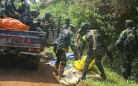 Nord-Kivu : Opération conjointe FARDC-UPDF neutralise trois rebelles ADF
