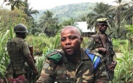 Conflits dans l’Est de la RDC: L&rsquo;armée congolaise accuse l&rsquo;AFC/M23 de violer le cessez-le-feu décrété par lui-même