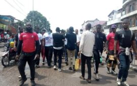 Contre la révision de la constitution, Delly sesanga aux arrêts