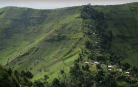 Combat FARDC-M23 à Masisi: deux morts et plusieurs blessés à Bweremana