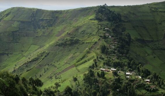 Combat FARDC-M23 à Masisi: deux morts et plusieurs blessés à Bweremana
