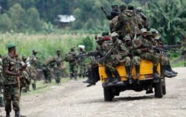 Les FARDC et les Wazalendo reprennent le contrôle de Walikale Centre