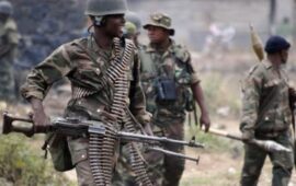 Les FARDC Rétablissent l&rsquo;Ordre à Mambasa et gagnent du terrain Face aux ADF