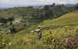 Le Sud-Kivu s’embrase : Combats intenses entre FARDC et M23/RDF à Kaziba