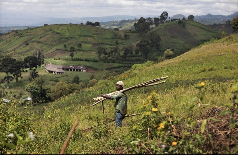 Le Sud-Kivu s’embrase : Combats intenses entre FARDC et M23/RDF à Kaziba