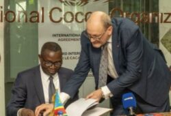 Cacao| la RDC s&rsquo;allie à l&rsquo;ICCO pour peser sur le marché mondial