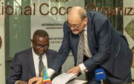 Cacao| la RDC s&rsquo;allie à l&rsquo;ICCO pour peser sur le marché mondial